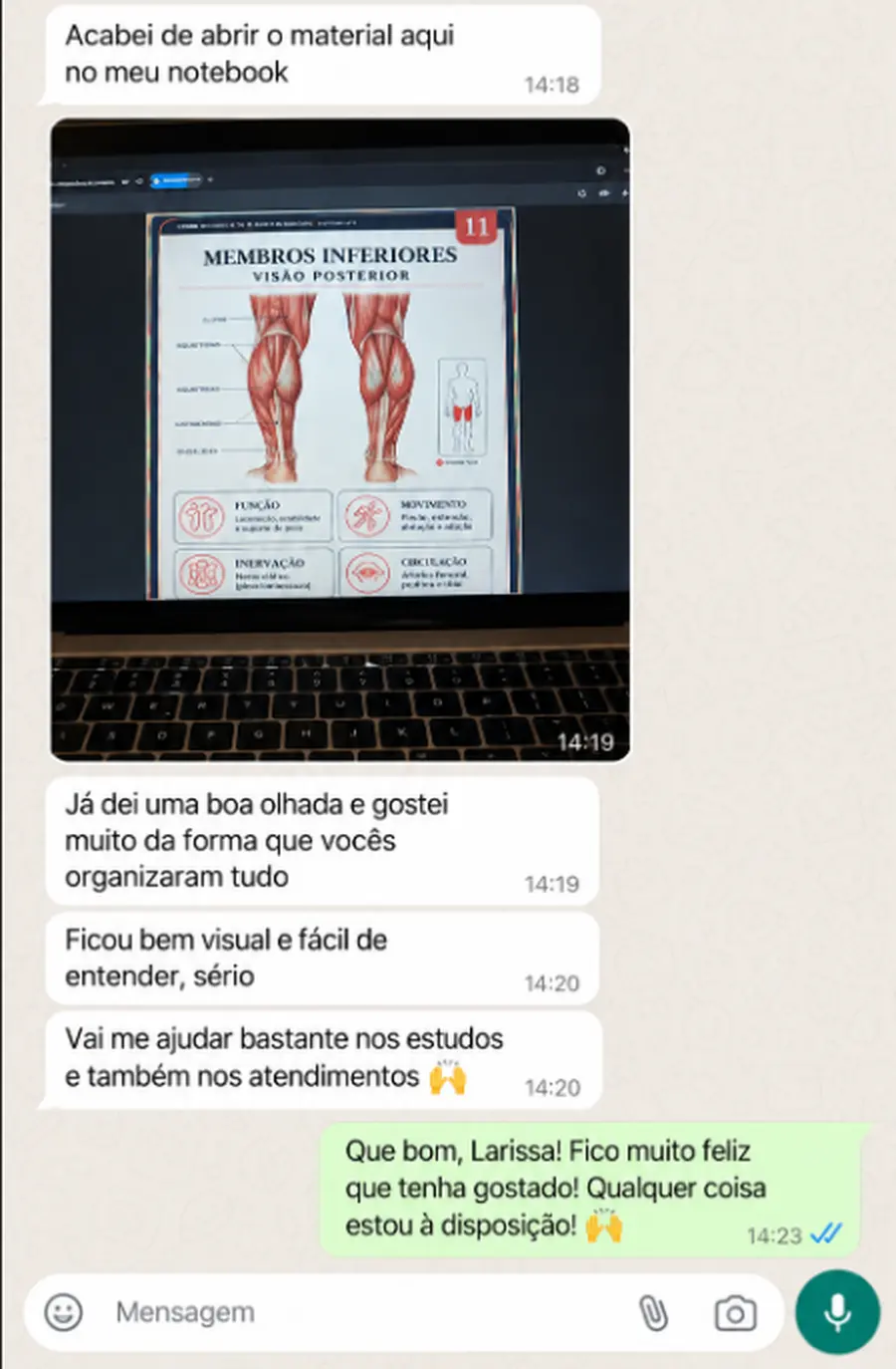 Exemplo de página do Guia Prático de Massoterapia Esportiva